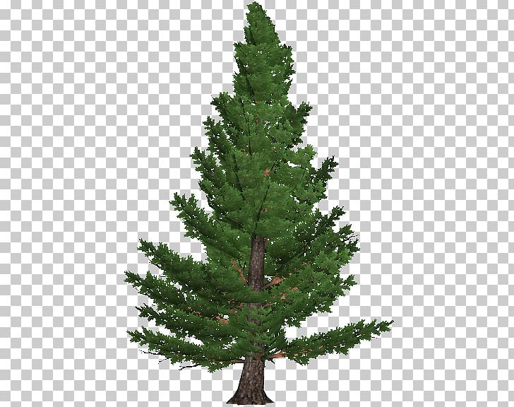 Artificial Christmas Tree Pre-lit Tree PNG, Clipart, Artificial Christmas Tree, Balsam Hill, Biome, Branch, Christmas Free PNG Download
