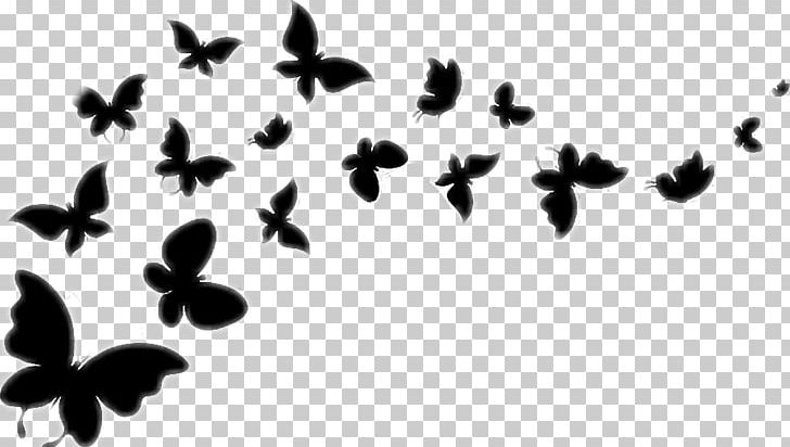 Butterfly Graphics PNG, Clipart, Black And White, Branch, Butterfly, Cute Butterfly, Desktop Wallpaper Free PNG Download