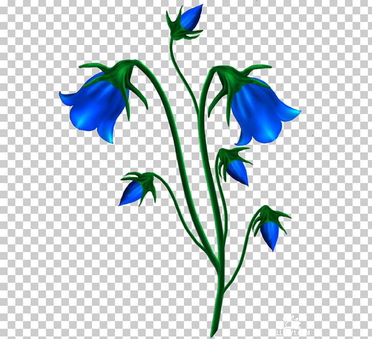 Harebell Canterbury Bells School Bell Bellflower Family PNG, Clipart, Artwork, Bell, Bellflower Family, Bellflowers, Bells Free PNG Download