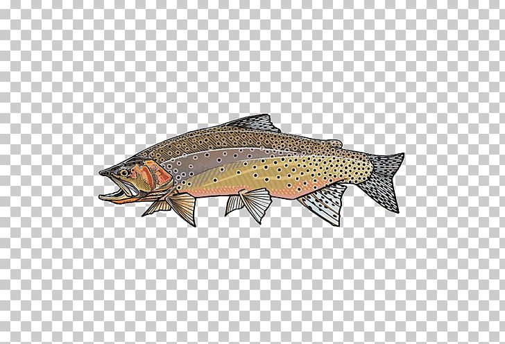 Salmon Westslope Cutthroat Trout Lahontan Cutthroat Trout Rainbow Trout PNG, Clipart, Angling, Animals, Bony Fish, Brook Trout, Cutthroat Trout Free PNG Download