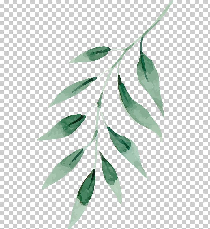 Watercolor Painting Graphics Leaf Green PNG, Clipart, Art, Branch, Drawing, Floral Design, Green Free PNG Download