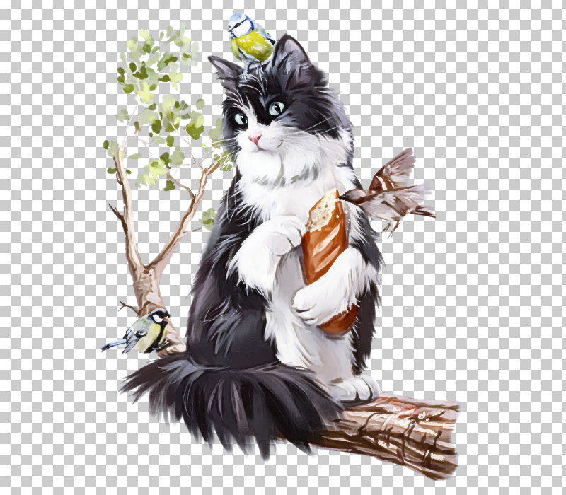 Cat Small To Medium-sized Cats Whiskers Norwegian Forest Cat Black Cat PNG, Clipart, Black Cat, Cat, Maine Coon, Norwegian Forest Cat, Small To Mediumsized Cats Free PNG Download