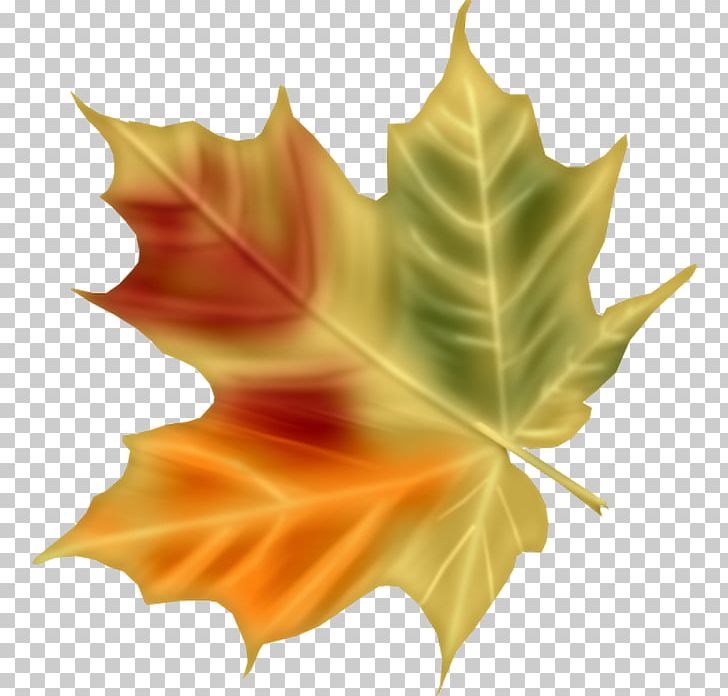Digital Painting Leaf PNG, Clipart, Autumn, Digital Art, Digital Data, Digital Image, Digital Painting Free PNG Download