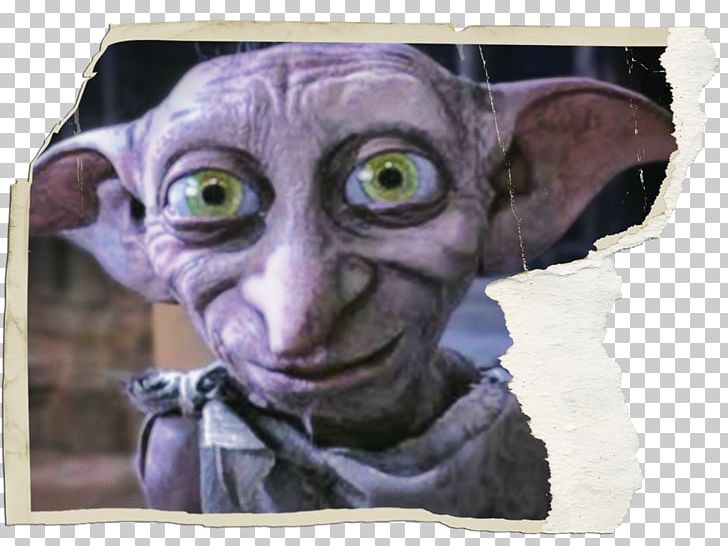 Dobby The House Elf Harry Potter And The Deathly Hallows Hermione Granger Ron Weasley PNG, Clipart, Cat, Cat Like Mammal, Clothing, Comic, Costume Free PNG Download