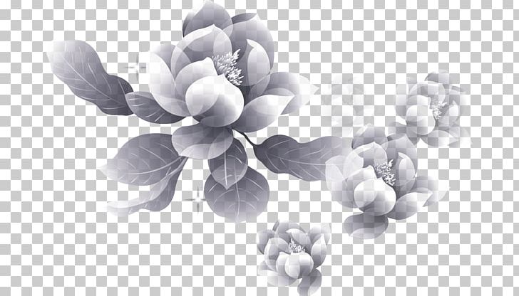 Moutan Peony Flower Petal PNG, Clipart, Black And White, Depositfiles, Download, Flower, Garden Roses Free PNG Download