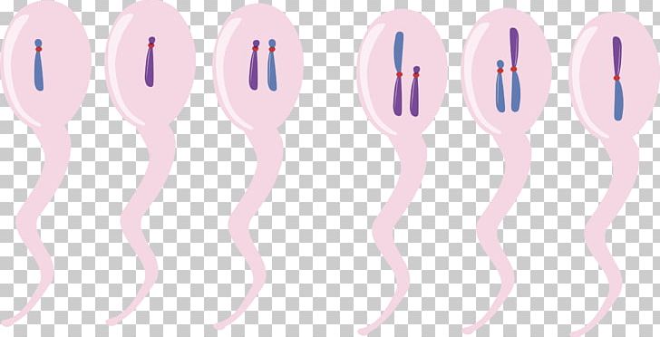 Chromosome Chromosomal Translocation PNG, Clipart, Chromosomal Translocation, Chromosome, Computer Icons, Cutlery, Dna Free PNG Download