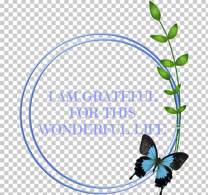 Map Swallowtail Butterfly Text Butterflies And Moths PNG, Clipart, Brand, Butterflies And Moths, Butterfly, Conflagration, Daily Free PNG Download