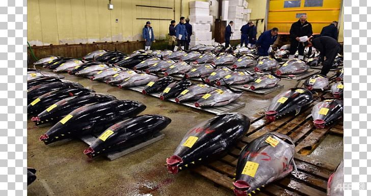 Tsukiji Fish Market 丰洲市场 Marketplace PNG, Clipart, Animals, Atlantic Bluefin Tuna, Fish, Fish Market, Fish Shop Free PNG Download