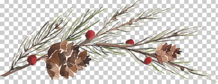 Watercolor Painting Drawing PNG, Clipart, Berries, Branch, Christmas, Christmas Ornament, Clip Art Free PNG Download