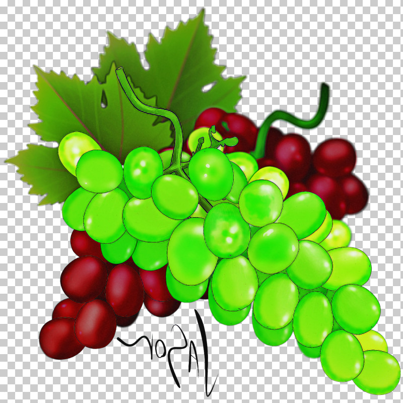 Grape Natural Foods Seedless Fruit Plant Grape Leaves PNG, Clipart, Fruit, Grape, Grape Leaves, Grapevine Family, Leaf Free PNG Download