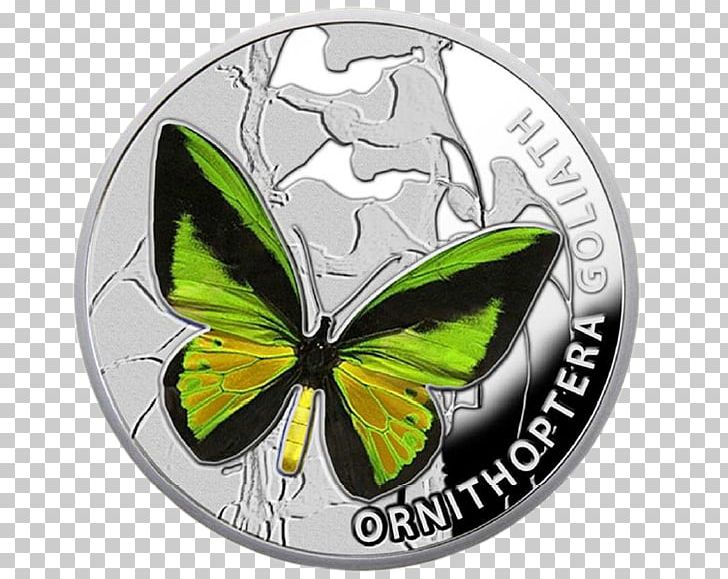 Butterflies And Moths Silver Coin Insect Wing Nature PNG, Clipart, Australian One Dollar Coin, Beauty, Brush Footed Butterfly, Butterflies And Moths, Butterfly Free PNG Download