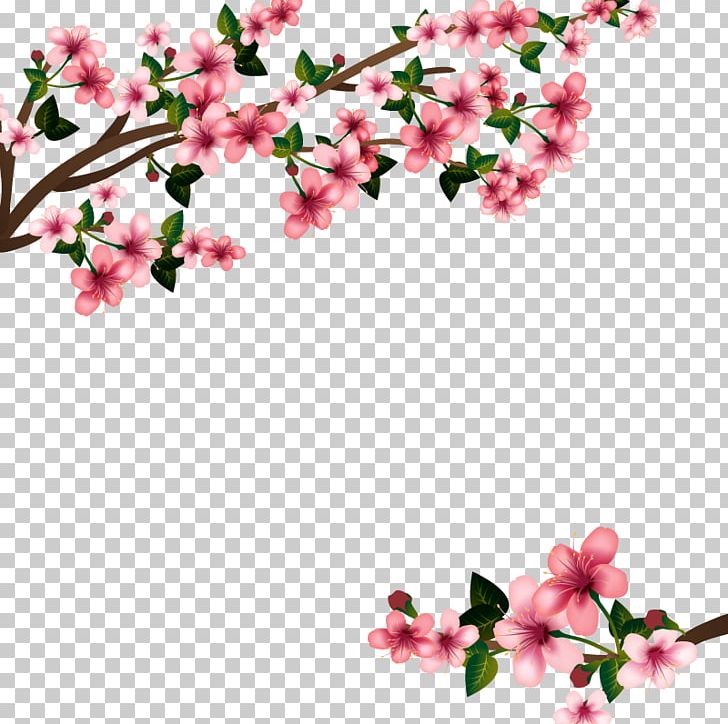 Cherry Blossom Euclidean PNG, Clipart, Blossom, Branch, Business, Cherry, Cherry Tree Free PNG Download