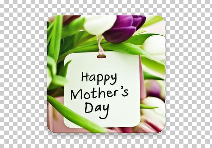 Mother's Day Gift Desktop PNG, Clipart,  Free PNG Download