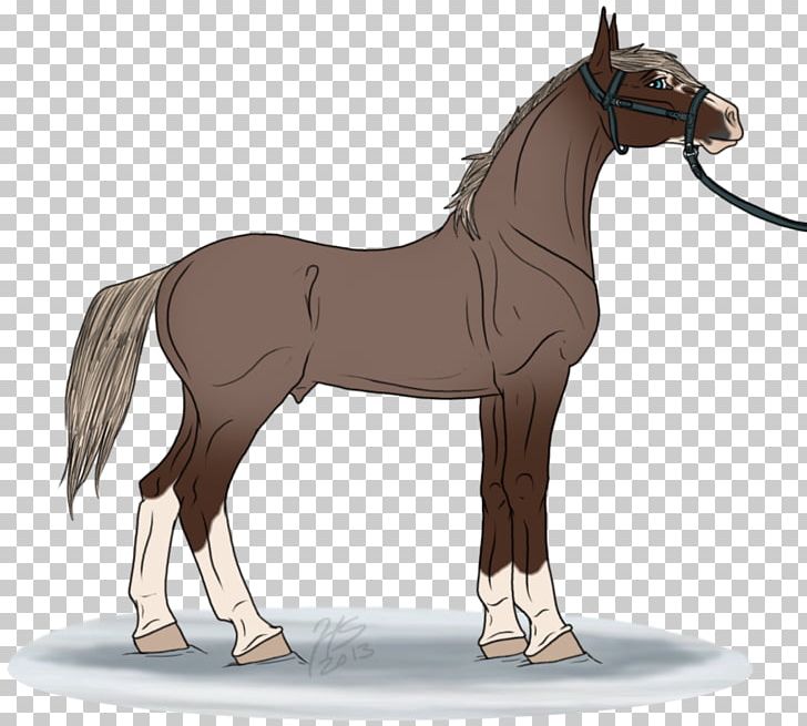 Mule Foal Stallion Pony Mare PNG, Clipart, Bridle, Castaway, Colt, Foal, Halter Free PNG Download