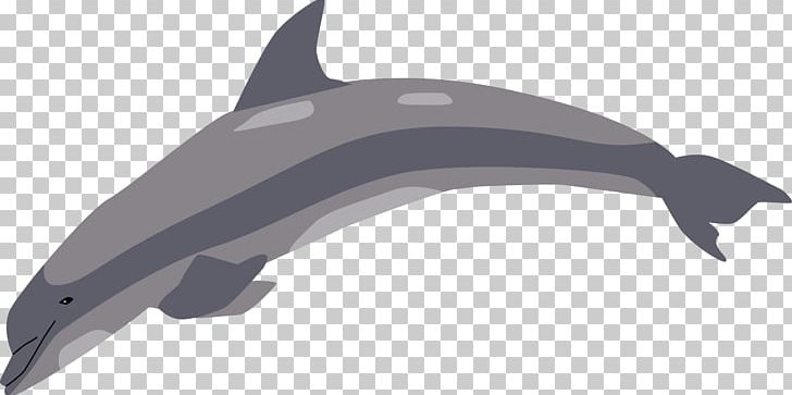 Tucuxi Common Bottlenose Dolphin Porpoise PNG, Clipart, 2017, Animals, Automotive Design, Black And White, Bottlenose Dolphin Free PNG Download