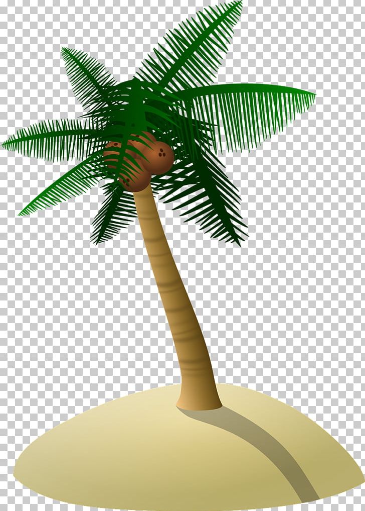 Coconut Arecaceae PNG, Clipart, Arecaceae, Arecales, Borassus Flabellifer, Coconut, Coconut Tree Free PNG Download