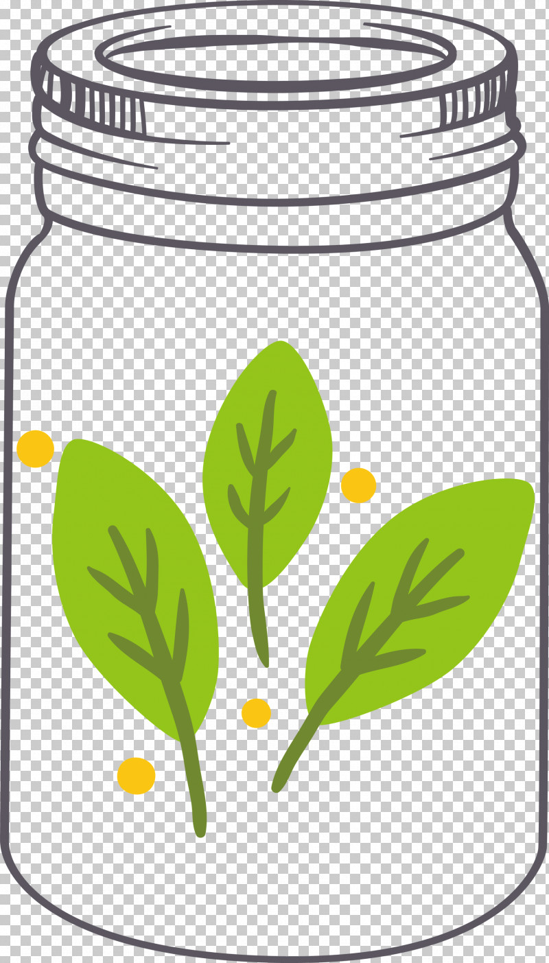 MASON JAR PNG, Clipart, Biology, Flower, Green, Leaf, Mason Jar Free PNG Download