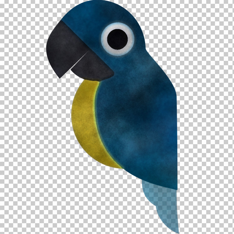 Feather PNG, Clipart, Beak, Cobalt, Cobalt Blue, Feather, Macaw Free PNG Download