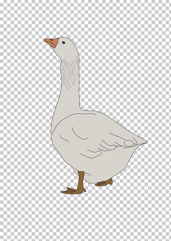 Canada Goose PNG, Clipart, Animals, Animation, Beak, Bird, Canada Goose Free PNG Download