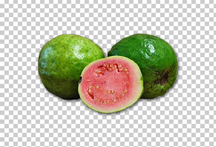 Guava Food Watermelon Fruit PNG, Clipart, Citrullus, Cucumber, Cucumber Gourd And Melon Family, Diet Food, Food Free PNG Download
