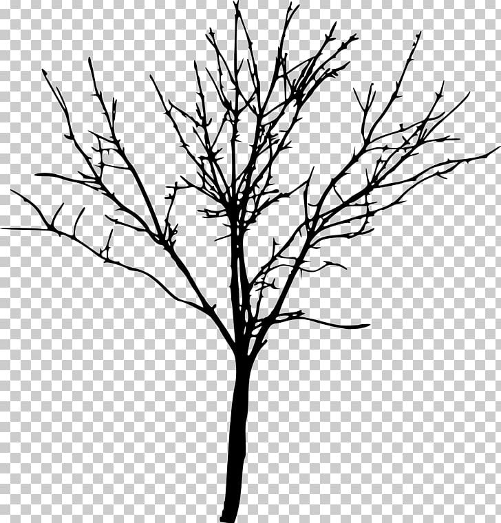 Tree Silhouette Branch PNG, Clipart, Artwork, Black And White, Branch, Clip Art, Drawing Free PNG Download