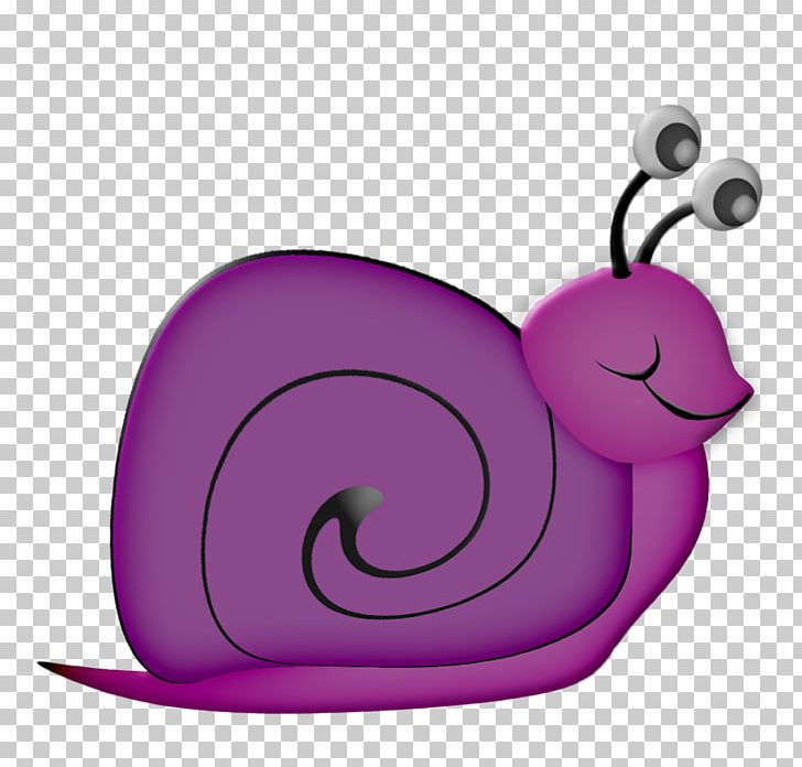 Snail Drawing Polymita Picta PNG, Clipart, Animal, Animals, Applique, Cartoon, Drawing Free PNG Download