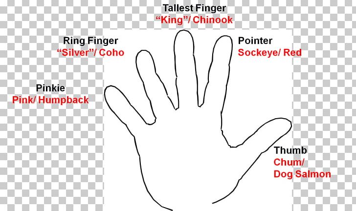 Thumb Finger PNG, Clipart, Angle, Area, Arm, Art, Brand Free PNG Download