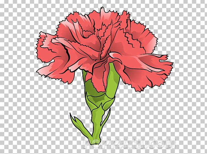 Carnation Floral Design Garden Roses Cut Flowers PNG, Clipart, Artwork, Carnation, Cut Flowers, Dianthus, Flora Free PNG Download