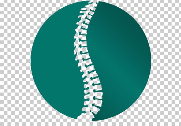Chiropractic Vertebral Column Scoliosis Health Care Sports Injury PNG, Clipart, Aqua, Chiropractic, Circle, Clinic, Health Free PNG Download