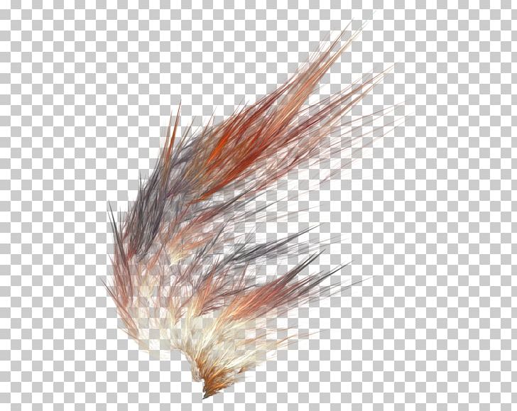 Computer Icons Feather Dark Brown PNG, Clipart, Abstract, Animals, Brown, Computer Icons, Dark Brown Free PNG Download
