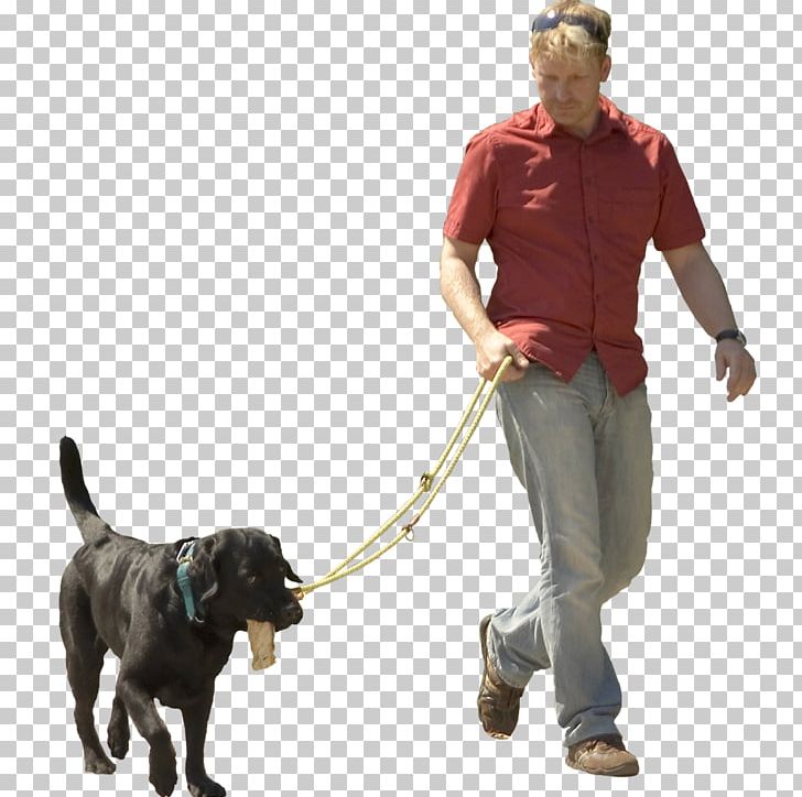 Dog Walking Pet Sitting Puppy Shock Collar PNG, Clipart, Animals, Bark, Carnivoran, Collar, Companion Dog Free PNG Download
