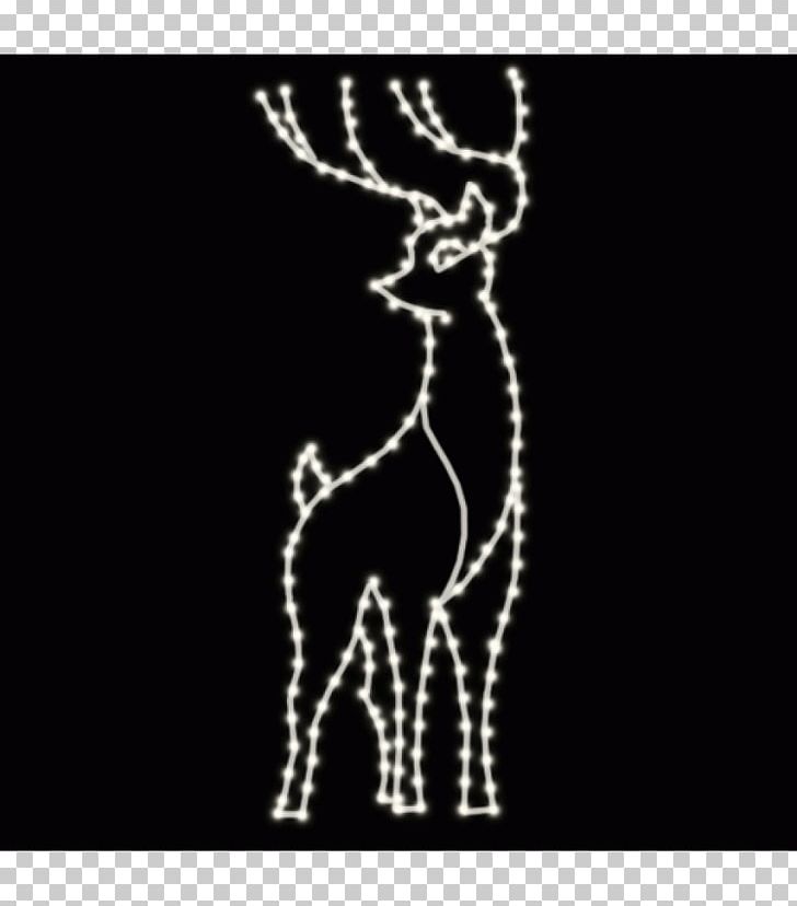 Giraffe Reindeer Antler Giraffids PNG, Clipart, Antler, Christmas, Christmas Stag, Deer, Giraffe Free PNG Download