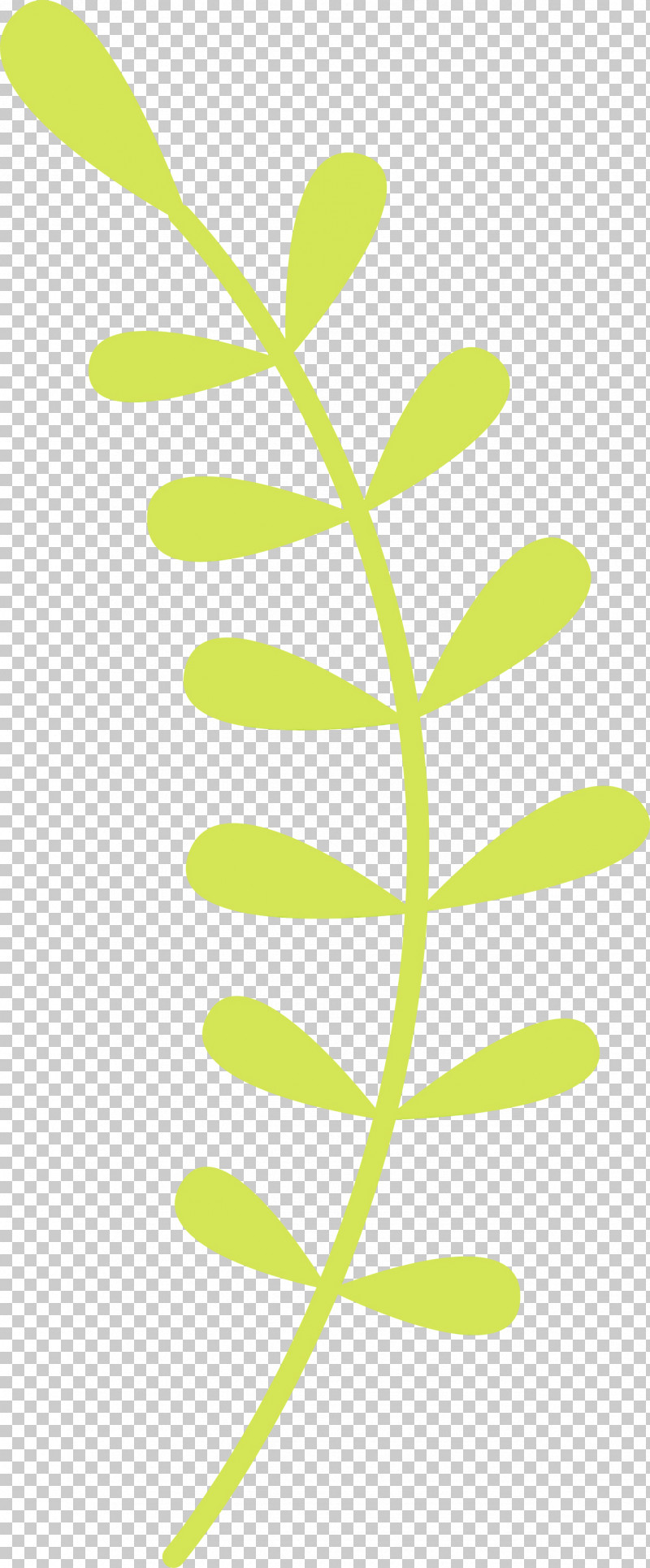 Leaf Green Plant Flower Plant Stem PNG, Clipart, Cartoon, Flower, Green, Leaf, Paint Free PNG Download