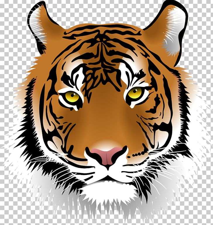 Free Content Bengal Tiger Sumatran Tiger PNG, Clipart, Animal, Bengal Tiger, Big Cats, Carnivoran, Cartoon Free PNG Download