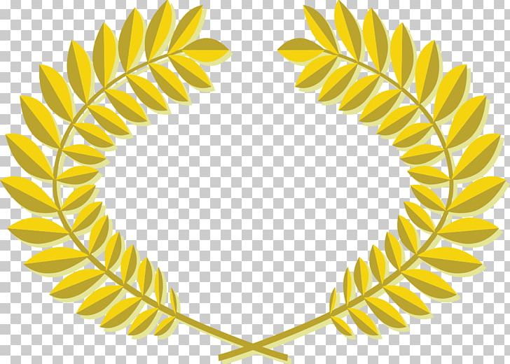 United States Film Festival Documentary Film Film Screening PNG, Clipart, Body Jewelry, Cinema, Circle, Commodity, Documentary Film Free PNG Download