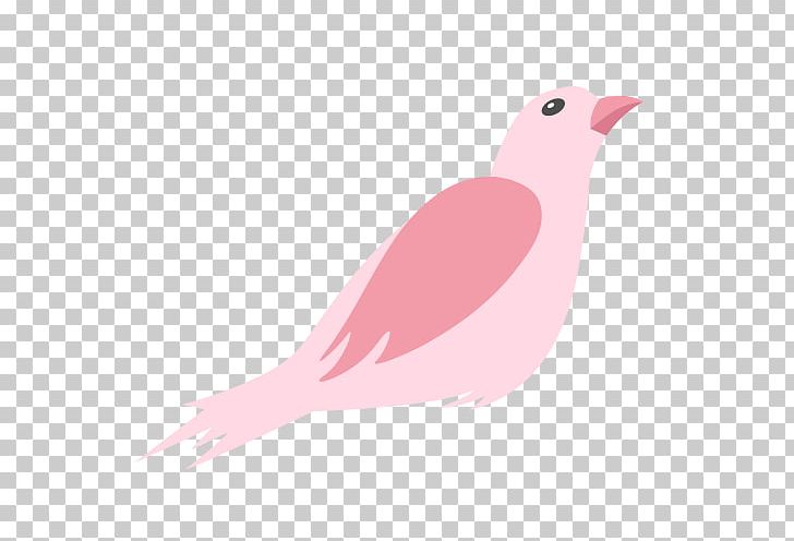 Bird Cartoon Wing Illustration PNG, Clipart, Animals, Beak, Bird, Bird Cage, Bird Nest Free PNG Download