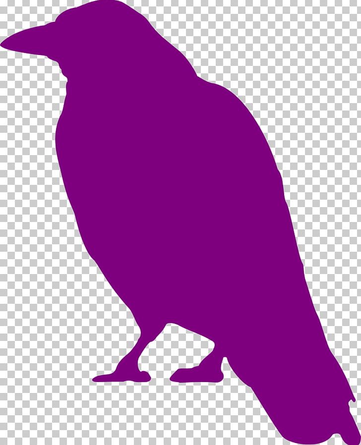 Common Raven Bird Crow Silhouette PNG, Clipart, Animals, Animal Silhouettes, Art, Beak, Bird Free PNG Download