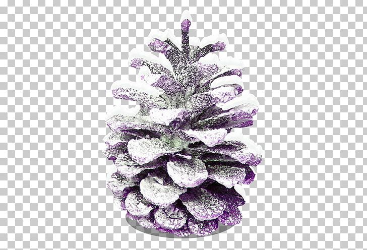 Conifer Cone Christmas Snow PNG, Clipart, Christmas Border, Christmas Decoration, Christmas Frame, Christmas Lights, Christmas Ornament Free PNG Download