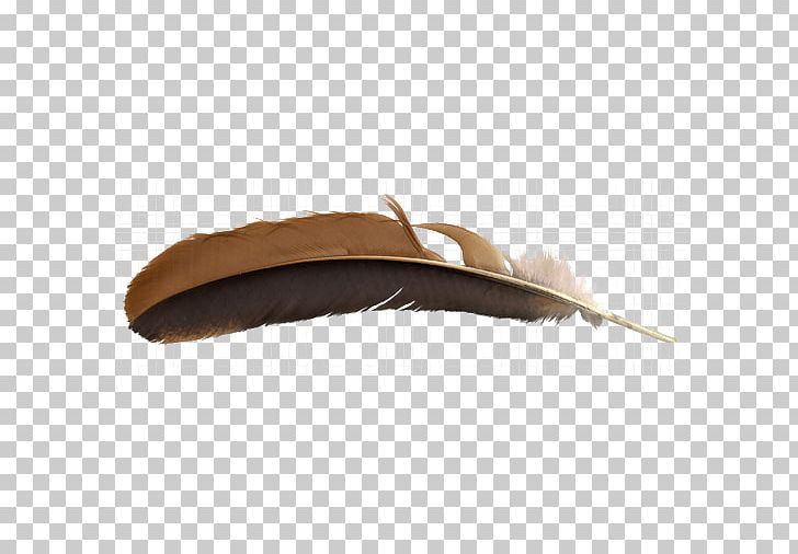 Feather Brown PNG, Clipart, Animals, Brown, Brown Background, Brown Brown, Decoration Free PNG Download