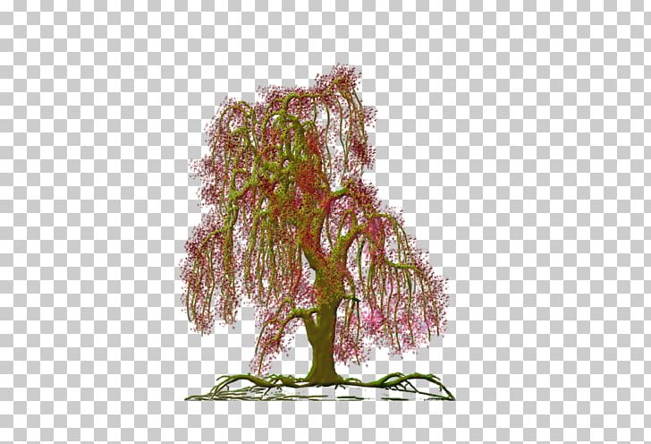 Houseplant Branching PNG, Clipart, Branch, Branching, Houseplant, Lavende, Others Free PNG Download