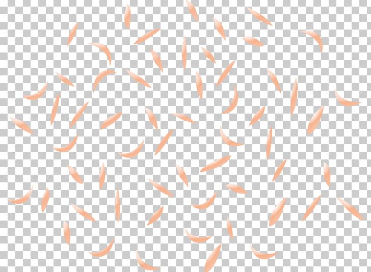 Line Angle PNG, Clipart, Angle, Line, Orange, Peach, Petal Free PNG Download