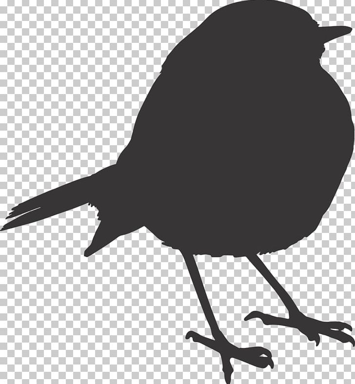 Bird PNG, Clipart, Animals, Architecture, Beak, Bird, Black And White Free PNG Download