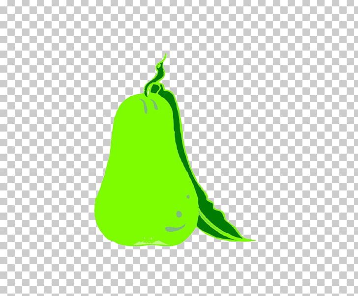 European Pear Fruit Drawing PNG, Clipart, Animation, Background Green, Cartoon, Decoration, Decoration Image Free PNG Download