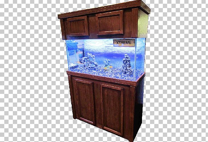 Reef Aquarium Gallon Aquarium Furniture Sump PNG, Clipart, Aquarium, Aquarium Filters, Aquarium Furniture, Aquatic Plants, Chiffonier Free PNG Download