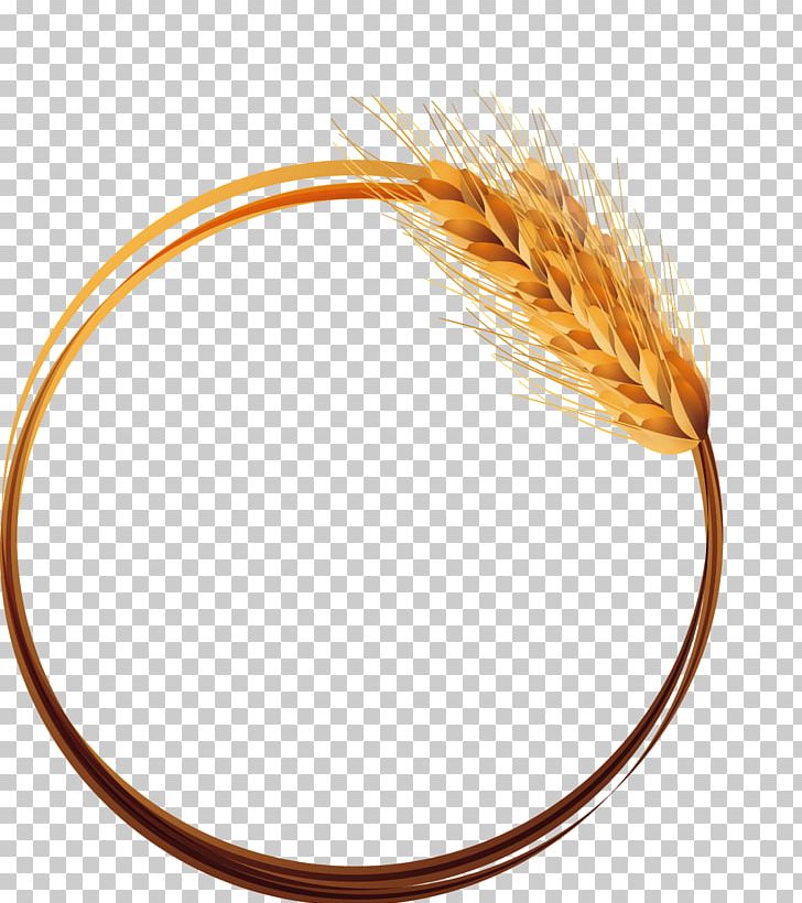 Wheat PNG, Clipart, Adobe Illustrator, Cartoon Wheat, Circle, Commodity, Design Tool Free PNG Download