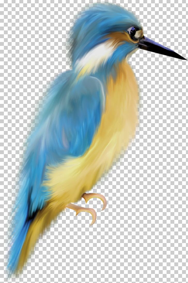 Bird European Robin Watercolor Painting Art PNG, Clipart, American Robin, Animal, Animals, Art, Artist Free PNG Download