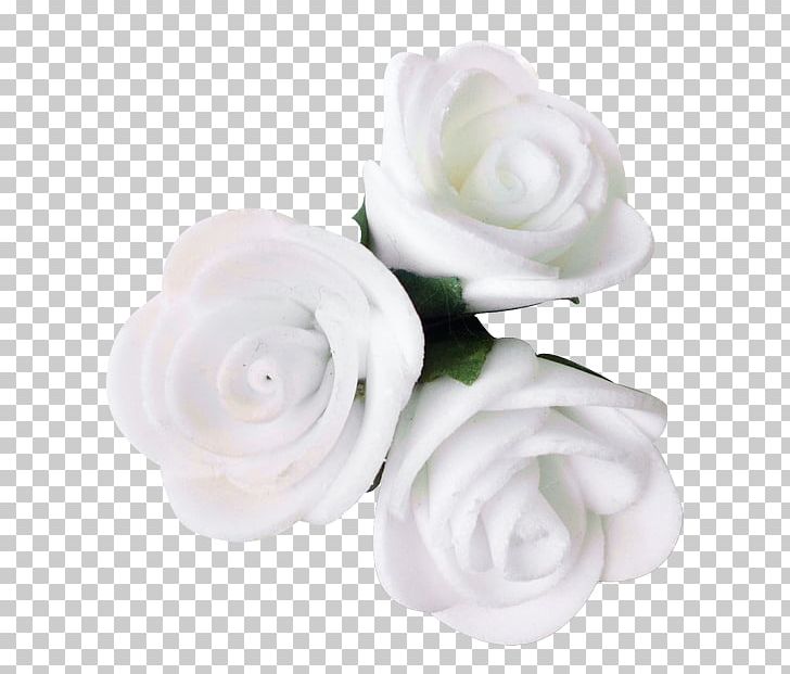 Garden Roses Cut Flowers Blue Rose Petal PNG, Clipart,  Free PNG Download