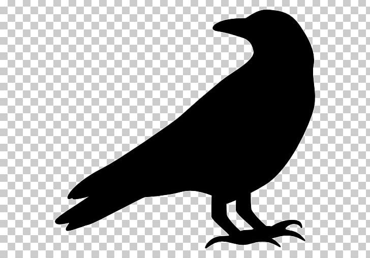 Crow Computer Icons PNG, Clipart, American Crow, Animals, Beak, Bird, Black And White Free PNG Download