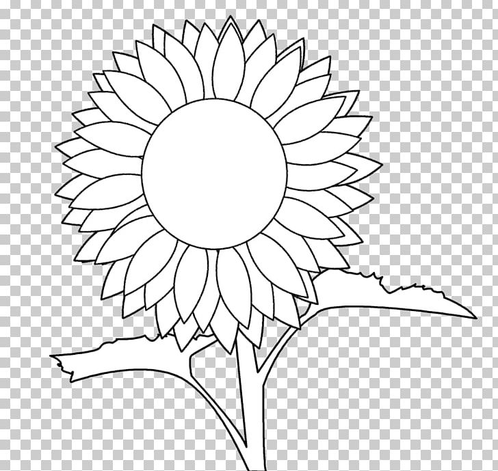 Common Sunflower Coloring Book Drawing PNG, Clipart, Area, Art, Artwork, Black, Black And White Free PNG Download