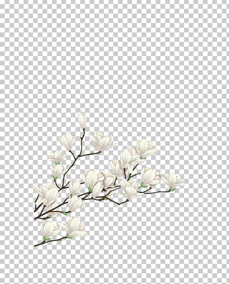 Flower White Computer File PNG, Clipart, Branch, Cactaceae, Color, Cut Flowers, Decorative Material Free PNG Download